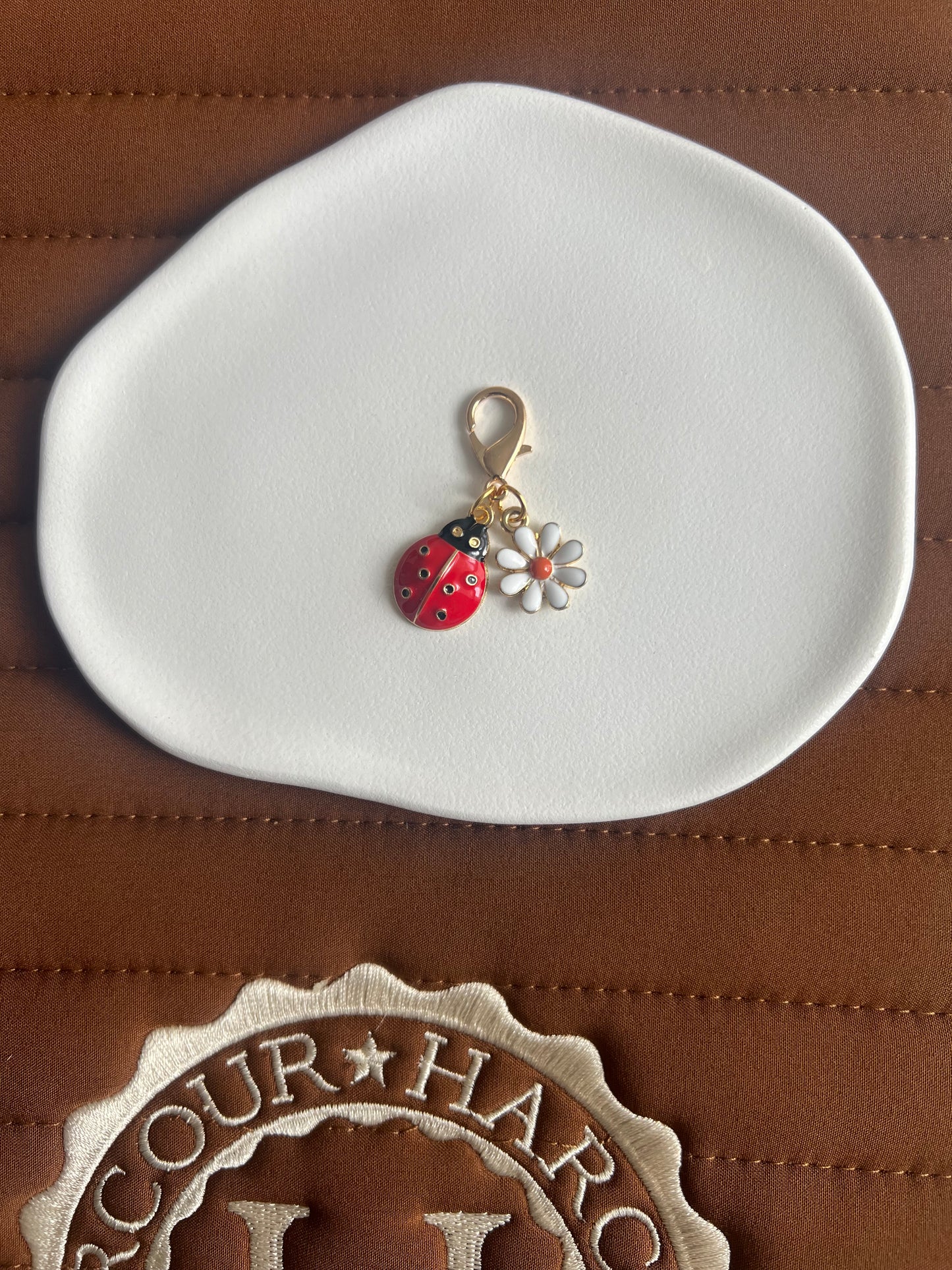 Charm coccinelle porte bonheur ✨🐞