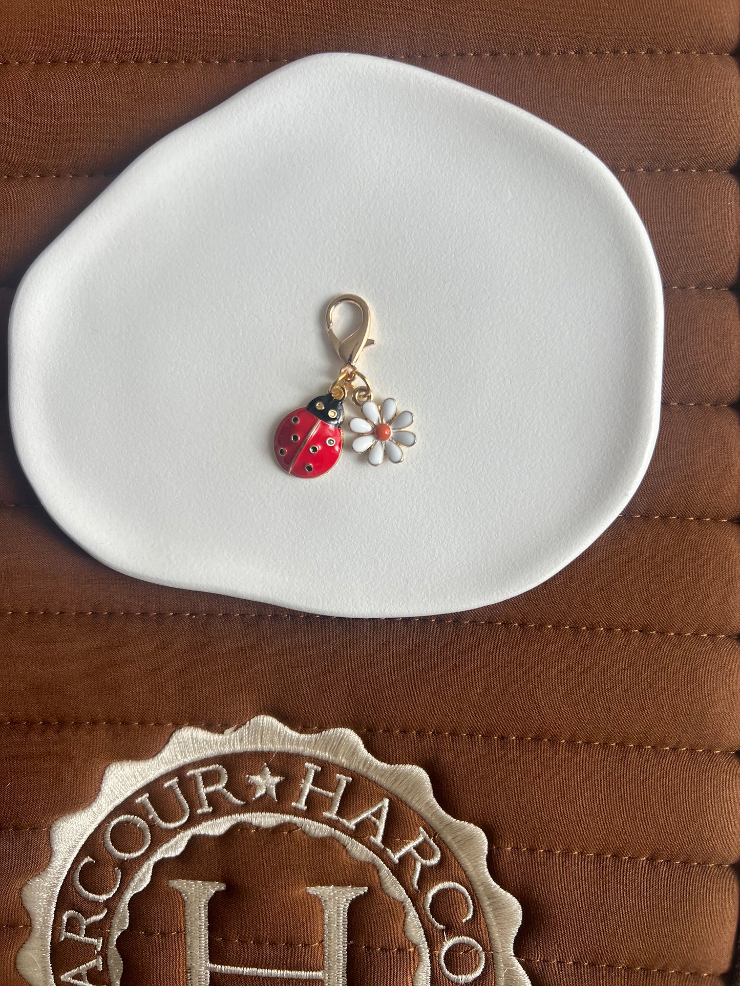 Charm coccinelle porte bonheur ✨🐞