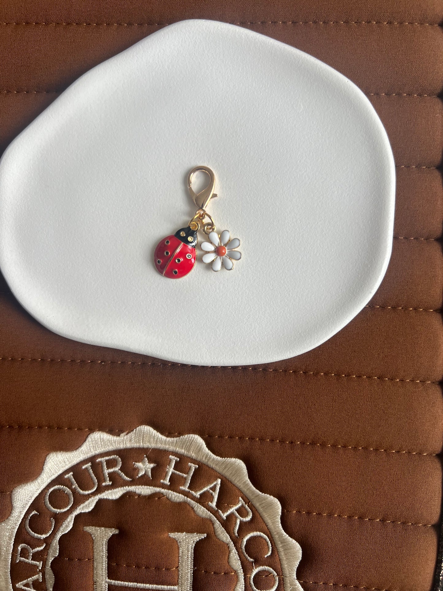 Charm coccinelle porte bonheur ✨🐞