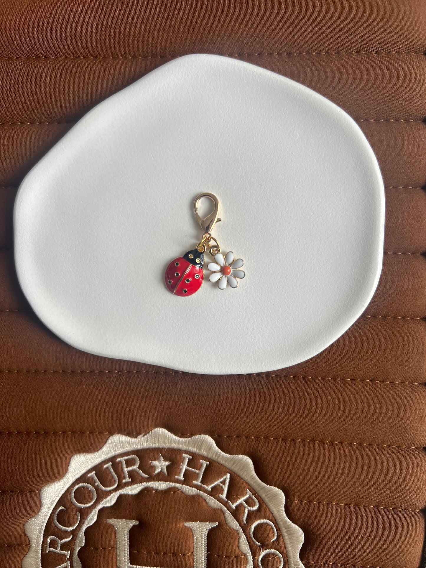 Charm coccinelle porte bonheur ✨🐞
