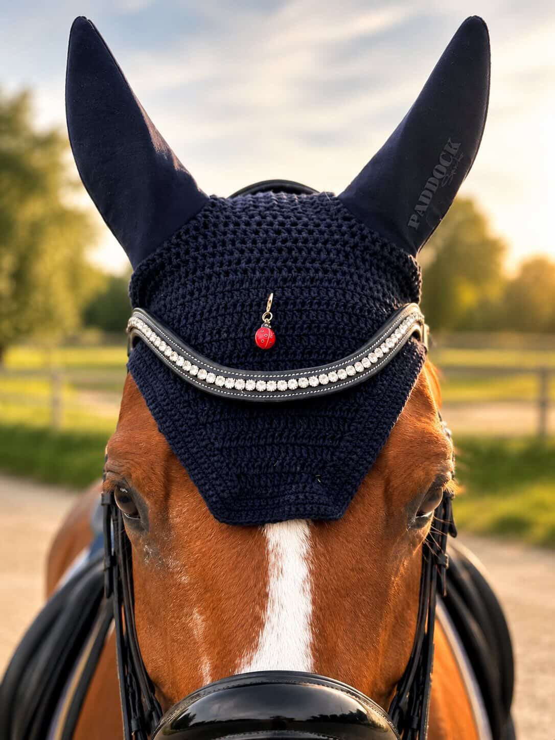 🐞 La Petite Coccinelle de Dany ✨X Louli
